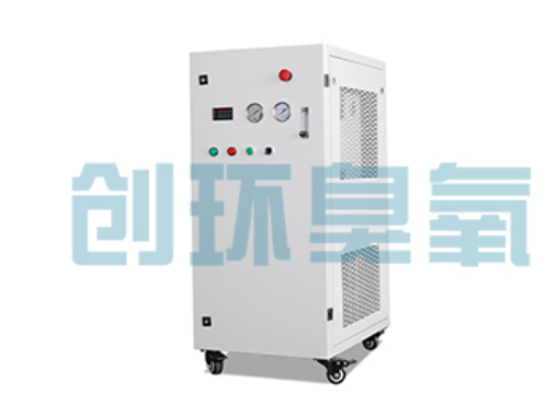 金华石斑鱼养殖水质调控完整指南：臭氧发生器配置与操作步骤
