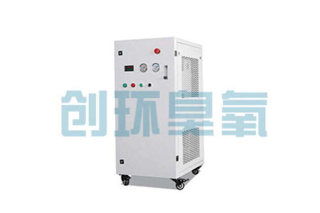 金华比传统换水更高效？臭氧发生器在石斑鱼养殖中的水质净化原理解析